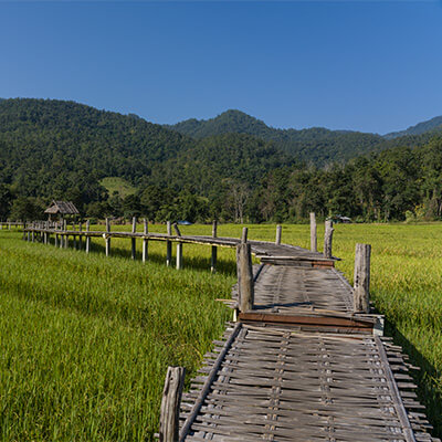 Pai Bamboo Bridge 400 01 - Chiang Mai Day Tours